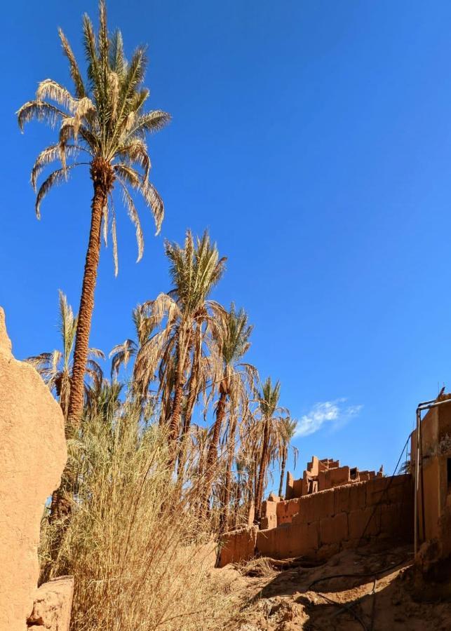 Riad Tagmadarte Ferme D'Hote Zagora Exterior photo