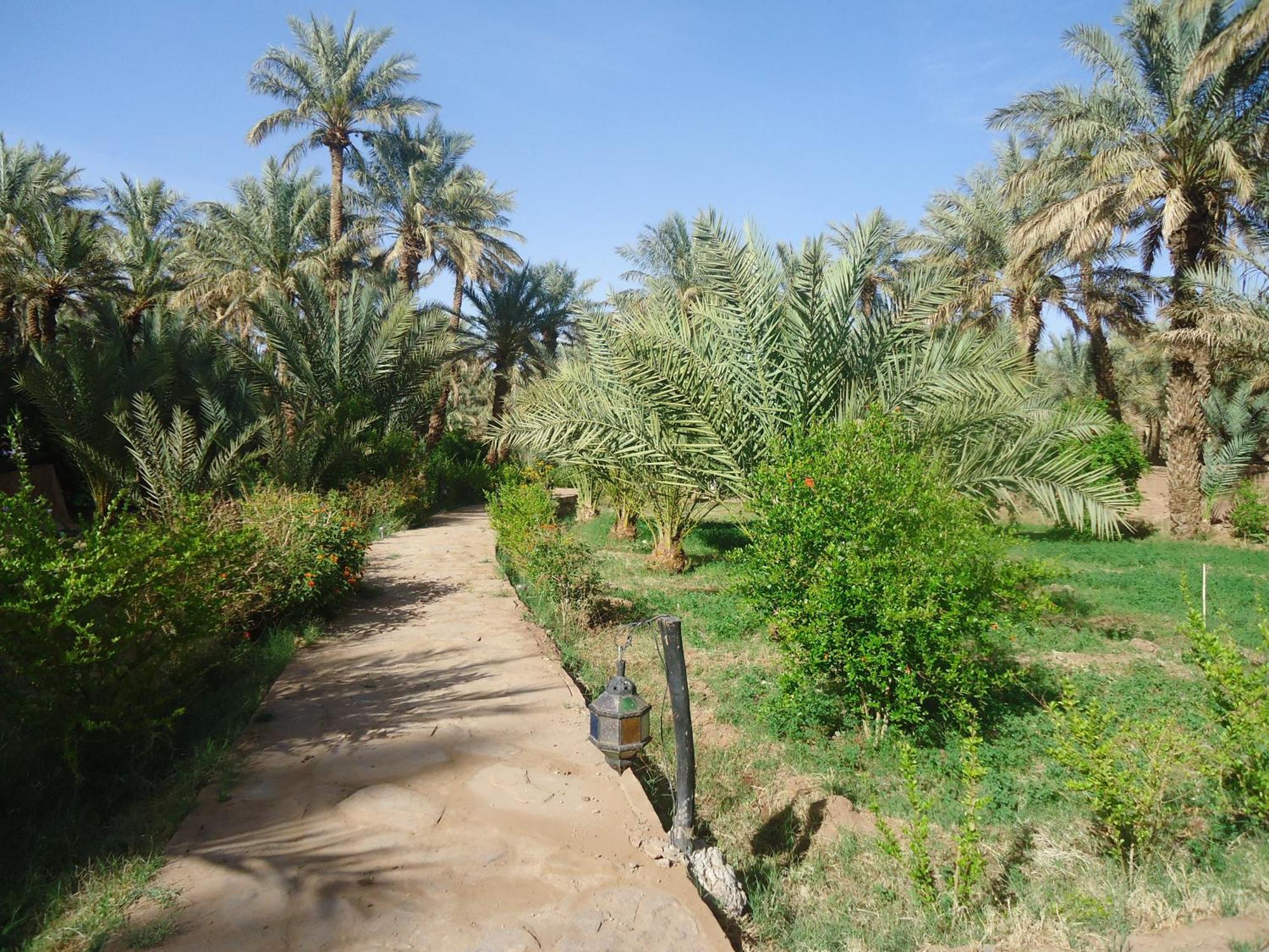 Riad Tagmadarte Ferme D'Hote Zagora Exterior photo