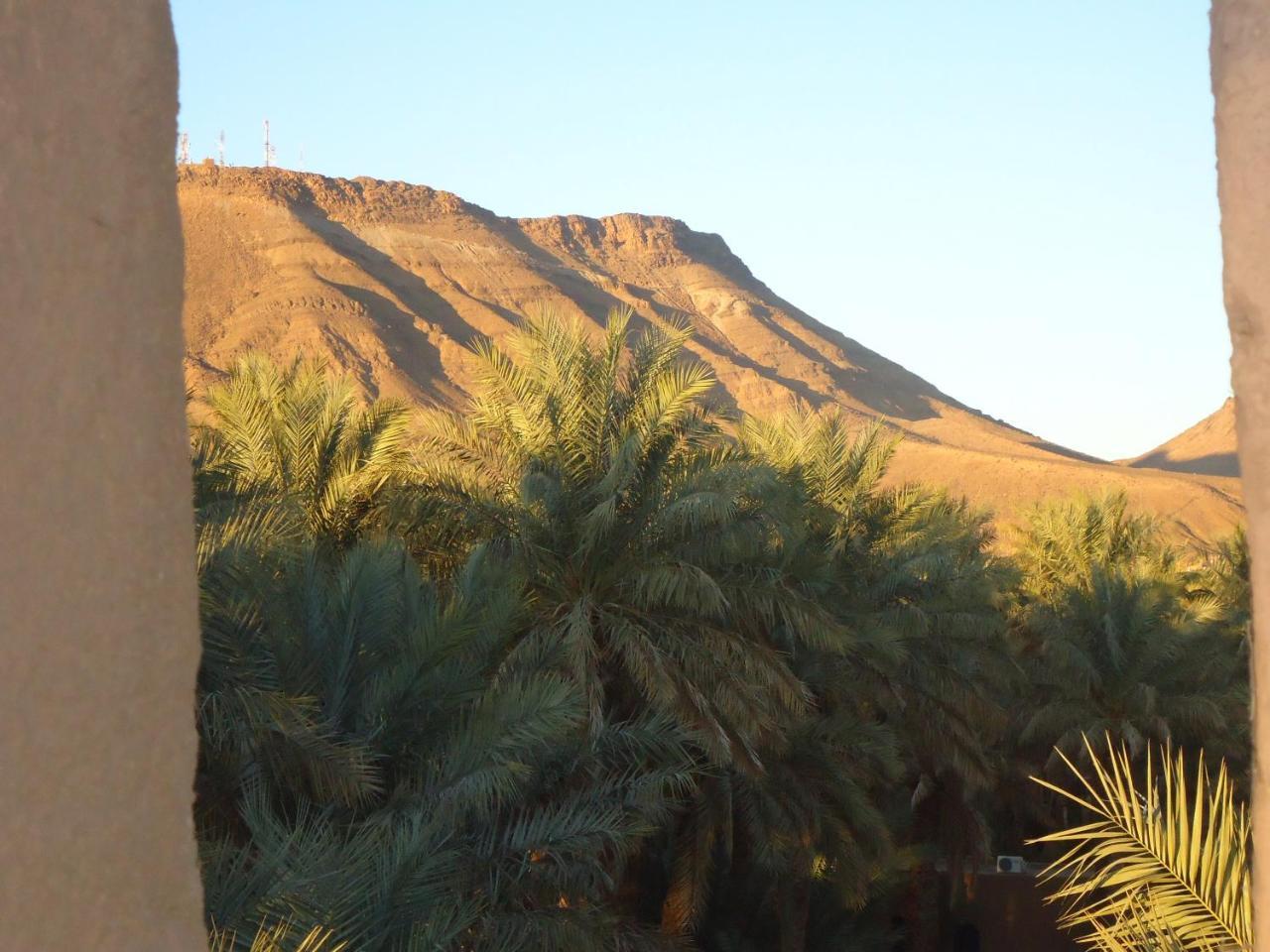 Riad Tagmadarte Ferme D'Hote Zagora Exterior photo