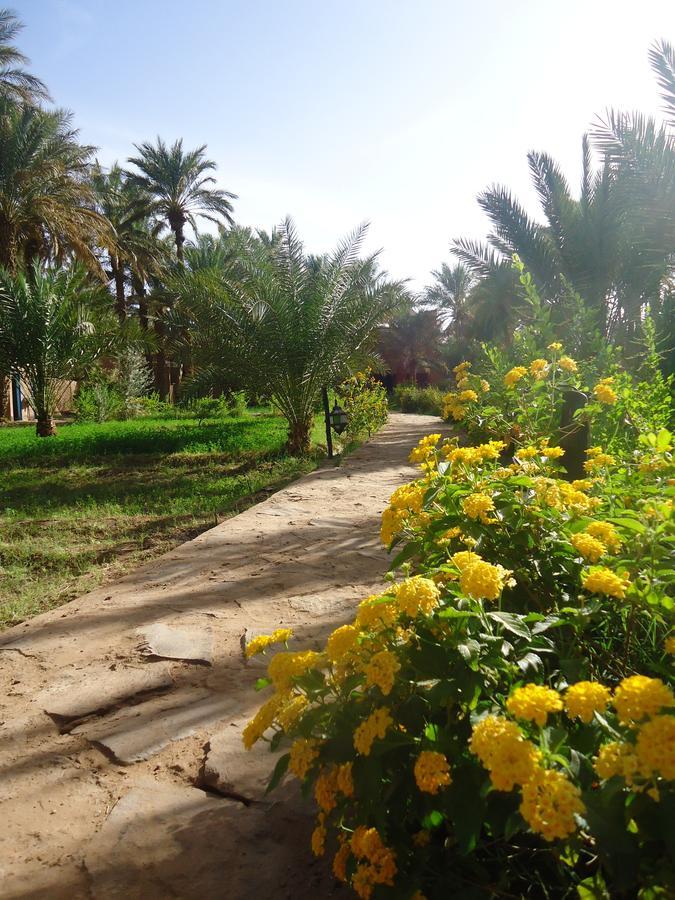 Riad Tagmadarte Ferme D'Hote Zagora Exterior photo