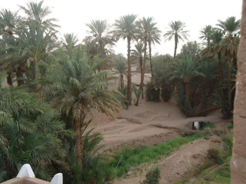 Riad Tagmadarte Ferme D'Hote Zagora Exterior photo