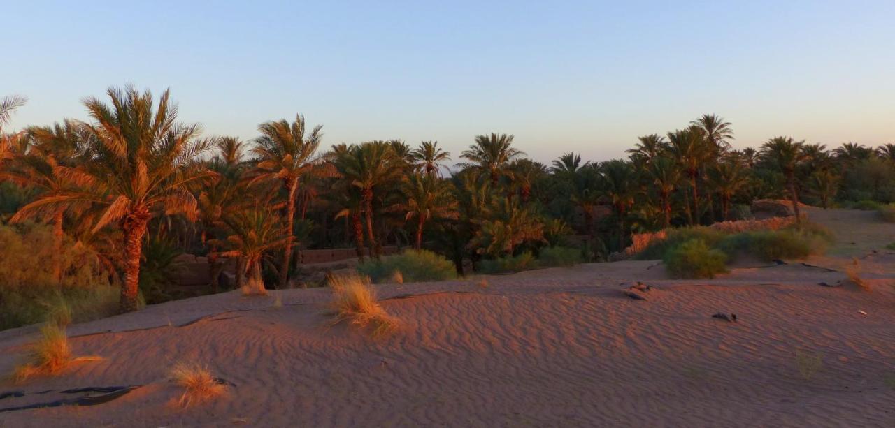 Riad Tagmadarte Ferme D'Hote Zagora Exterior photo